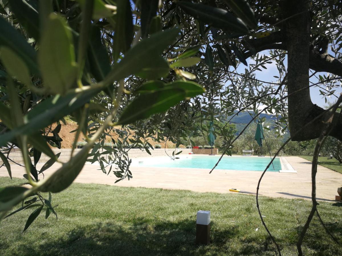 Casa Marconi Villa Vetriano Dış mekan fotoğraf
