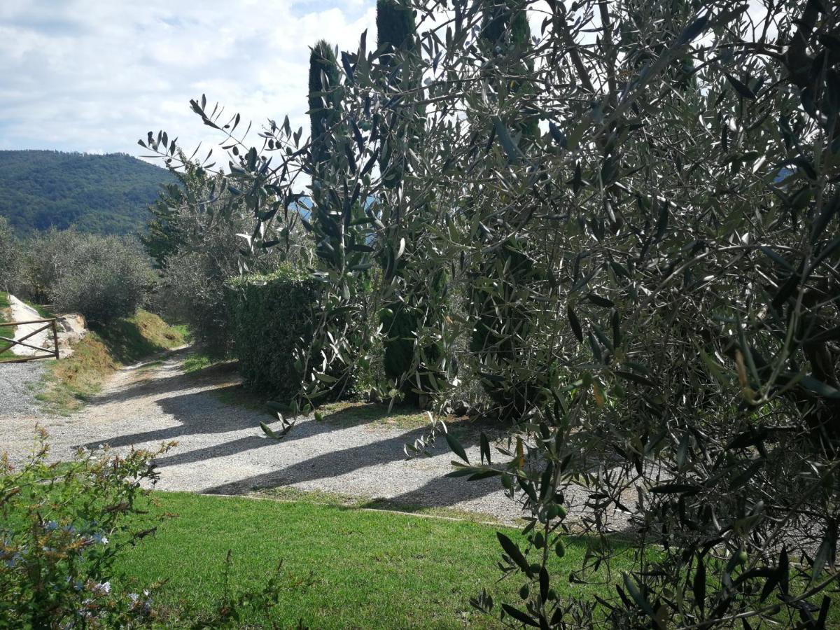 Casa Marconi Villa Vetriano Dış mekan fotoğraf