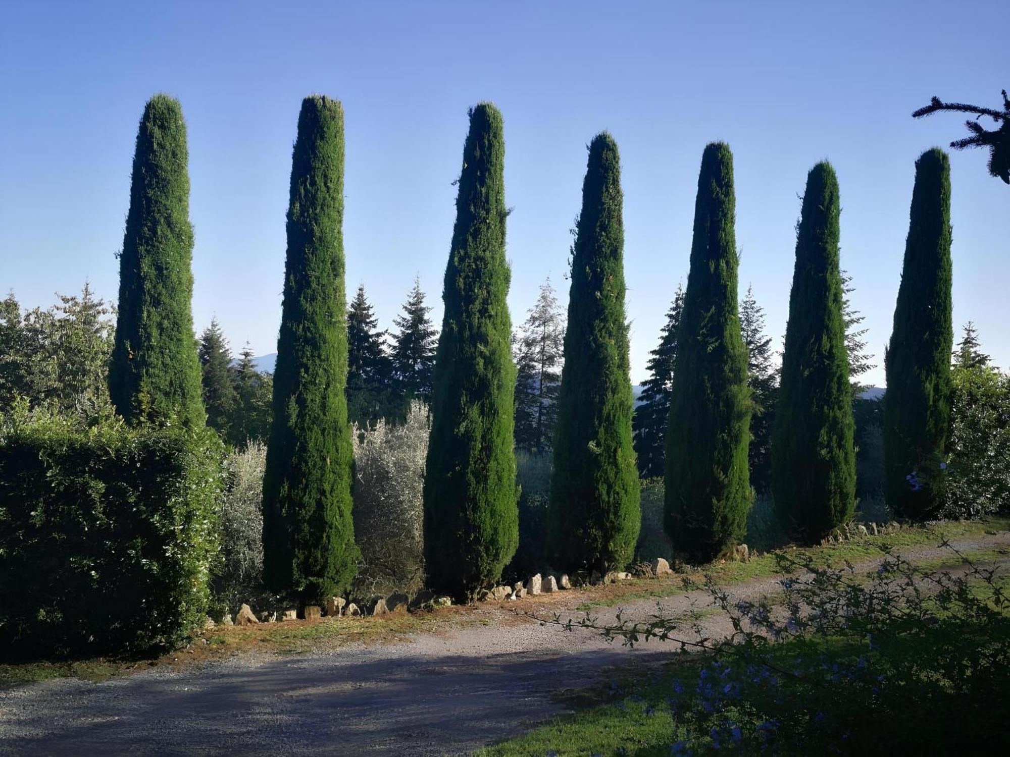 Casa Marconi Villa Vetriano Dış mekan fotoğraf